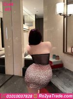لانجري تايجر قصير